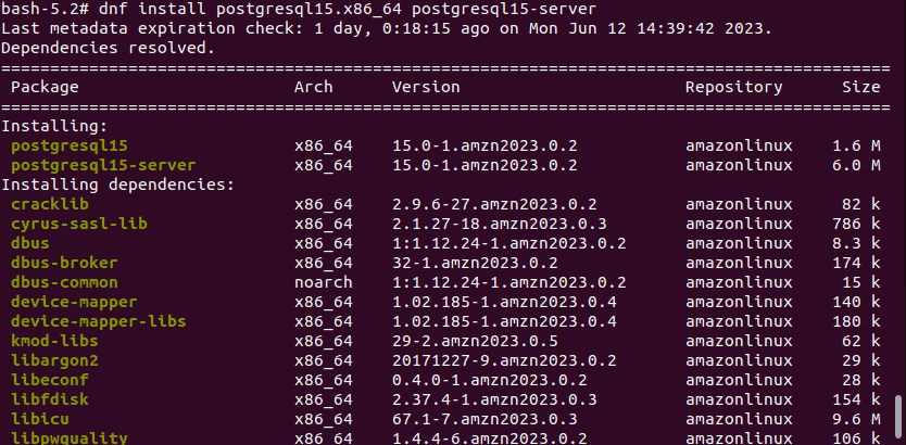 command install postgresql Amazon linux 2023