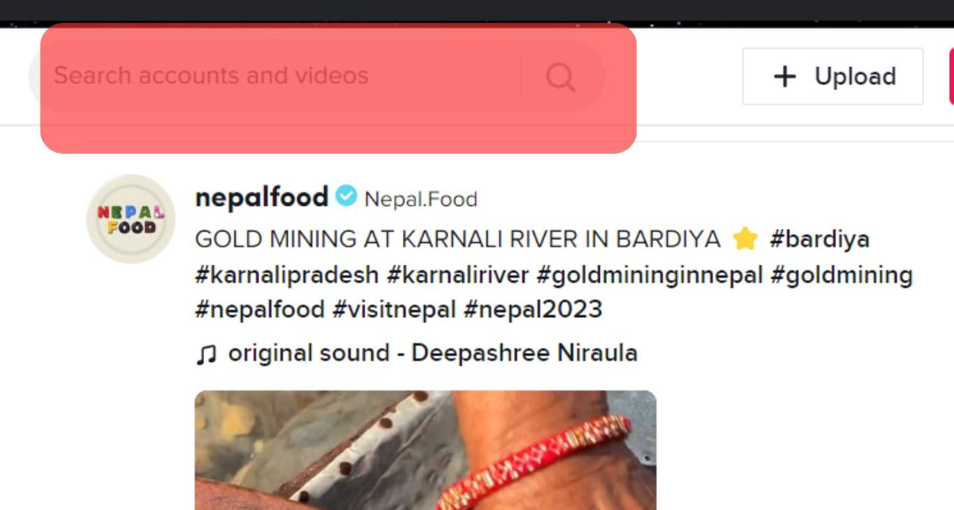 搜索栏查找任何内容