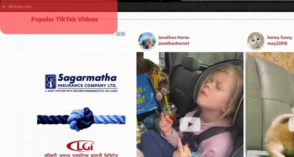 使用第三方 Tiktok 查看器 Tiktoky