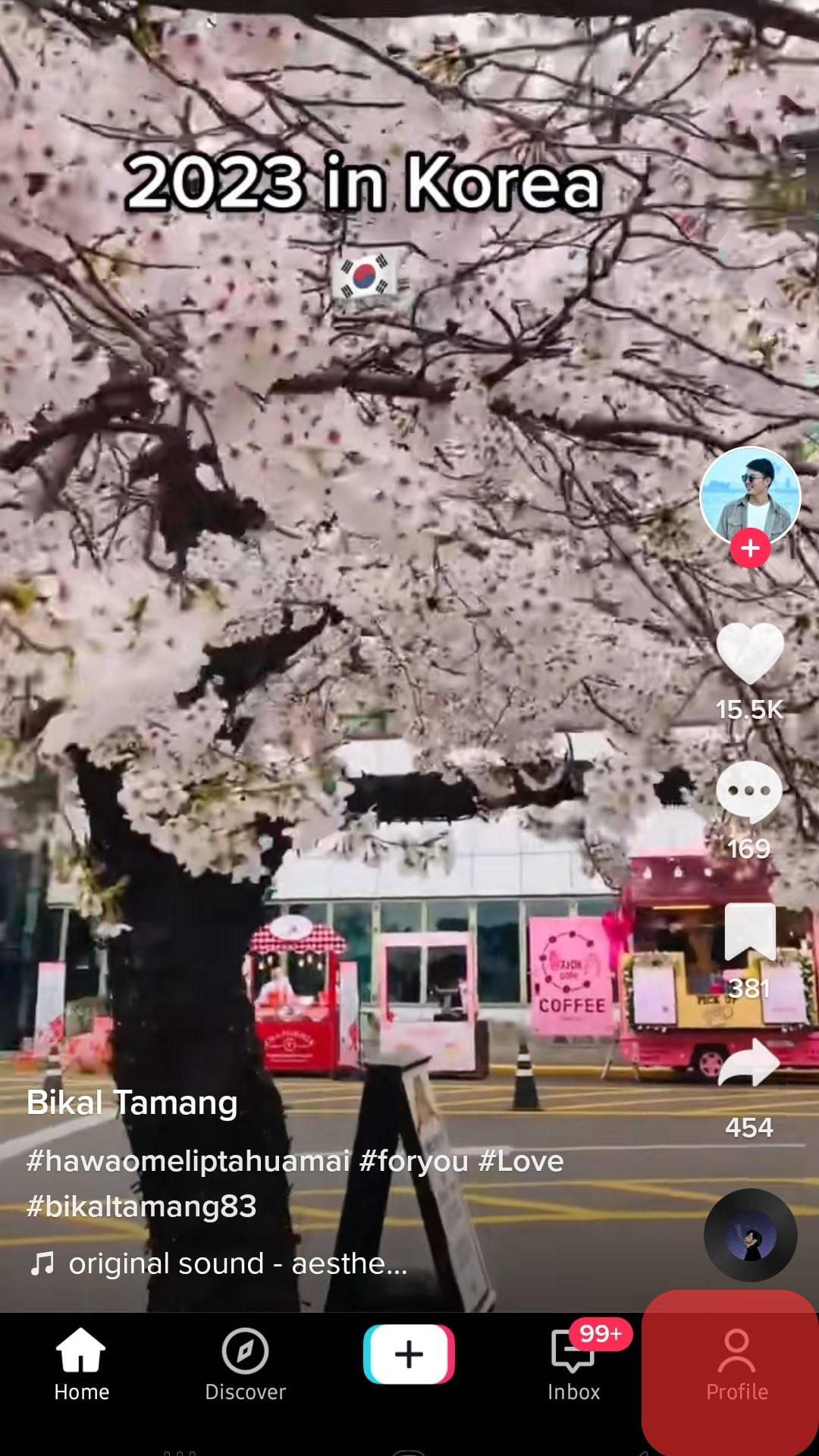 个人资料选项卡 Tiktok