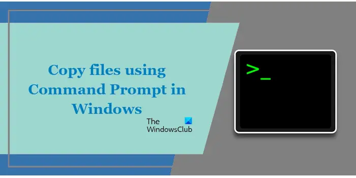 Copy files using cmd in Windows
