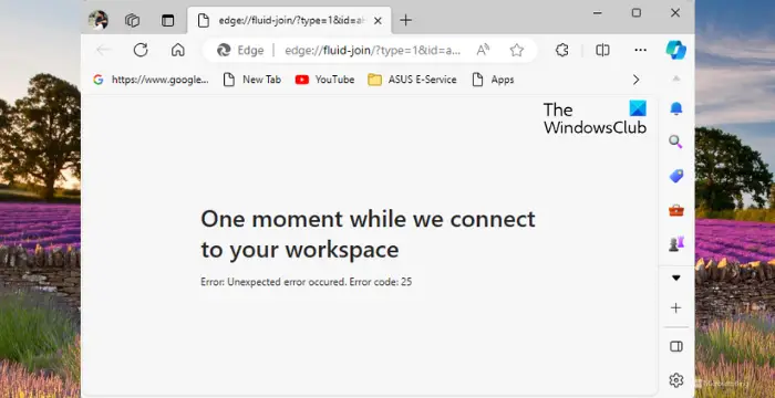 Error code 25 when connecting to Edge Workspace