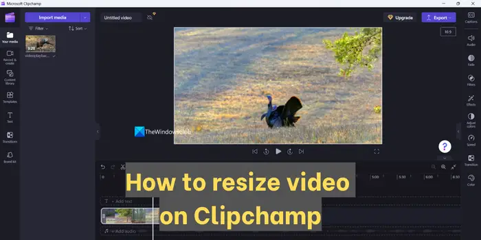 How to resize video on Clipchamp