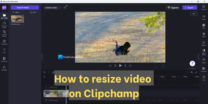 How to resize video on clipchamp.png