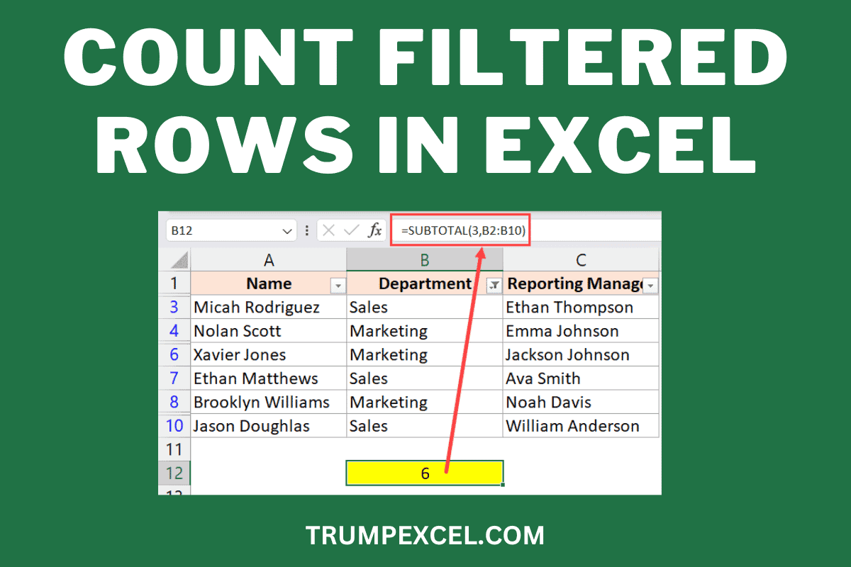 How To Count Filtered Rows In Excel.png