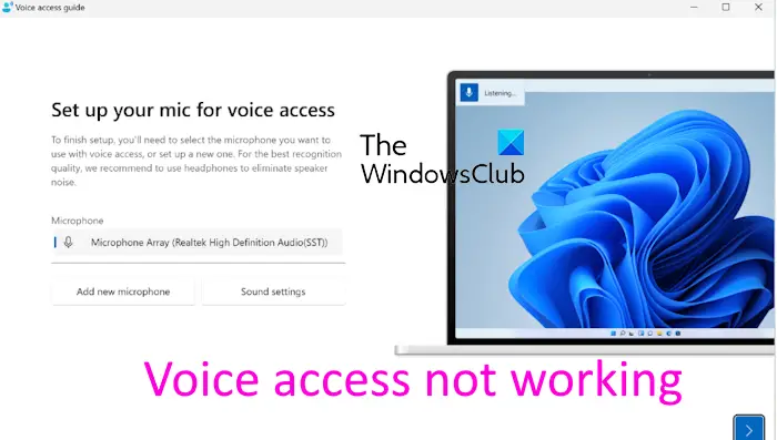 voice access not working windows