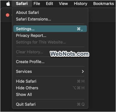 打开 Safari 设置