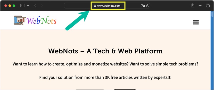Safari 中的完整站点地址