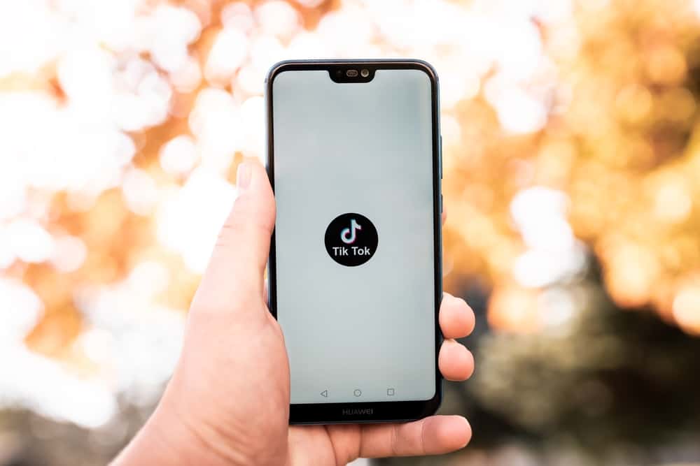 如何在TikTok上进行吸引力量表